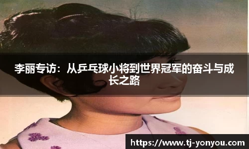 BB贝博登录入口