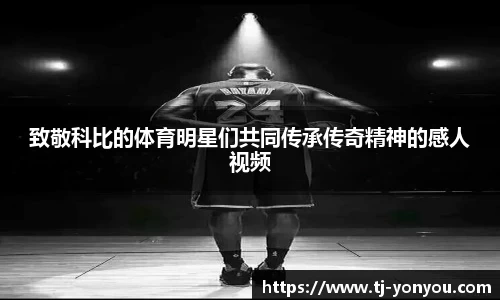 BB贝博艾佛森