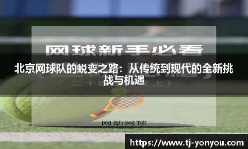 BB贝博登录入口
