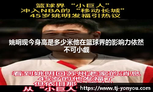 BB贝博