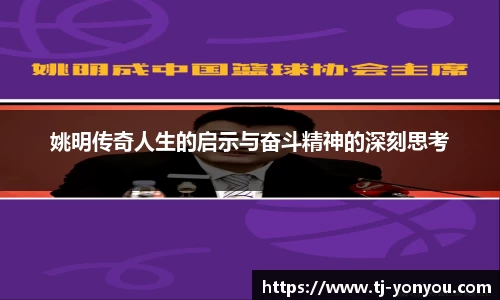 BB贝博登录入口
